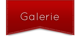 Webdesign galerie